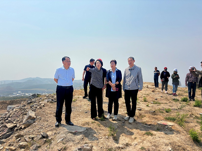פͼ鶽Գַ޸